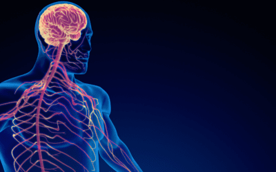 How Mindfulness Affects Your Neurosystem and Relationships